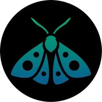 Moth Finance